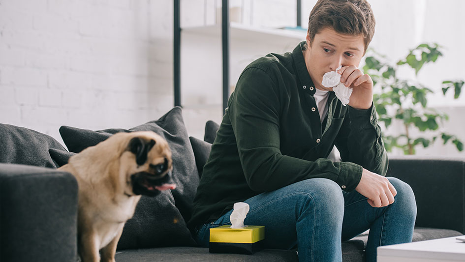 Getting an air purifier is one of the top approaches to improve your residence’s indoor air quality. Find out more about the three smartest products. 